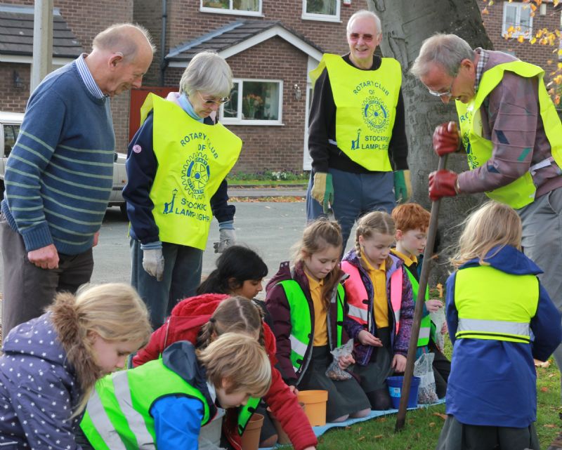 Lamplighters planting crocus corms with local school children