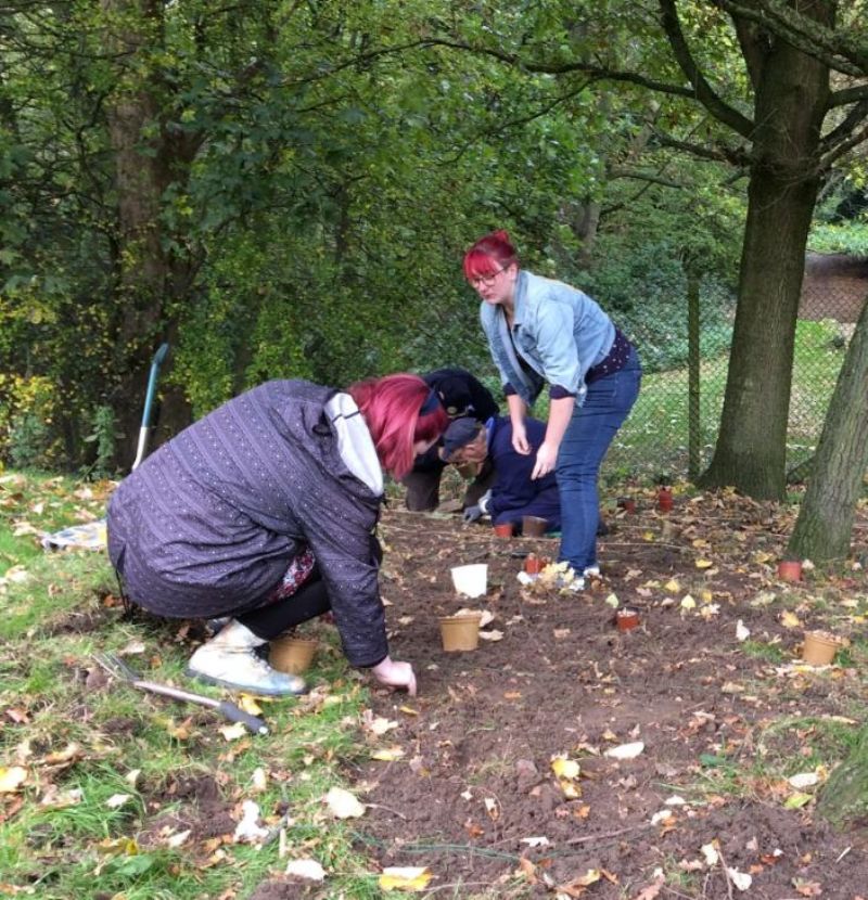 Rotarians and Friends plant Crocus Corms at Norton Priory