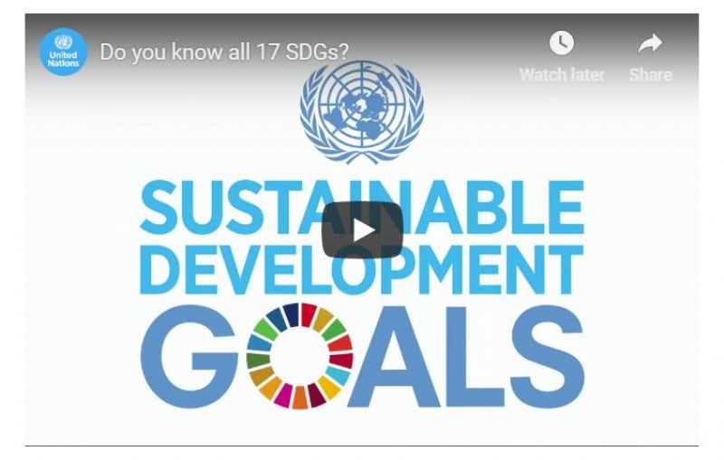 https://www.un.org/sustainabledevelopment/sustainable-development-goals/