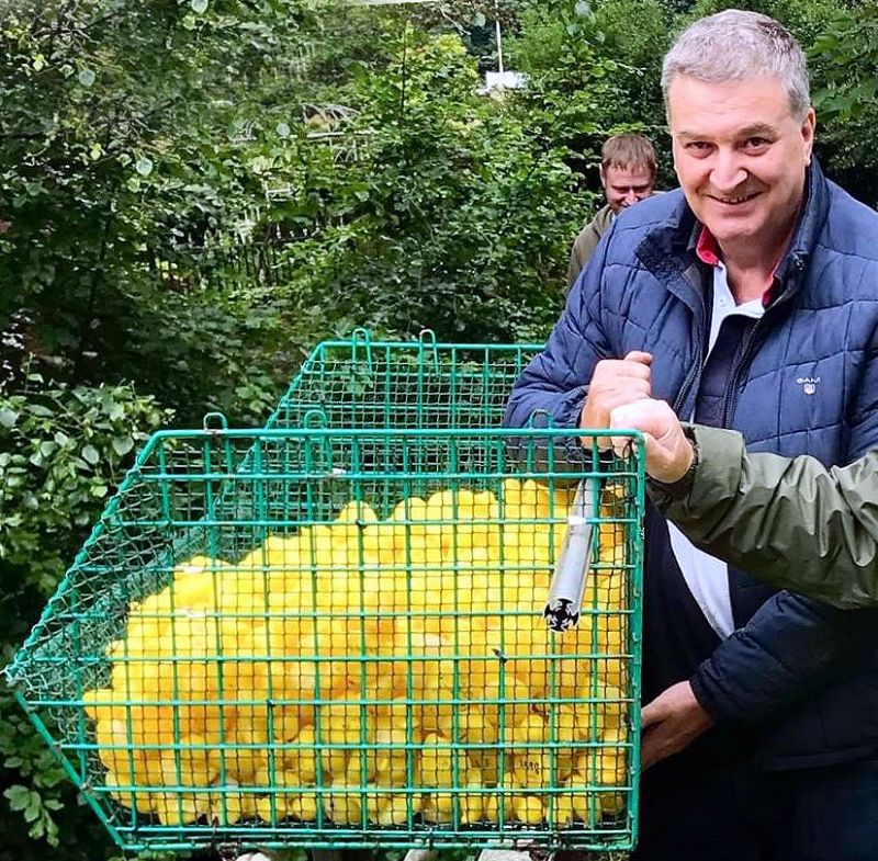 Picture: Duck race organiser Jim Turner prepares to empty a basket of ducks at this year's event.