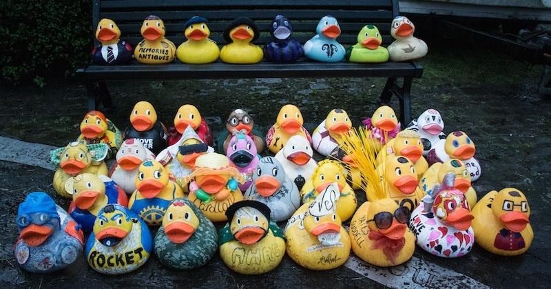 Ramsbottom Giant Ducks